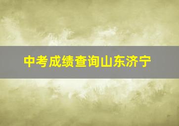 中考成绩查询山东济宁