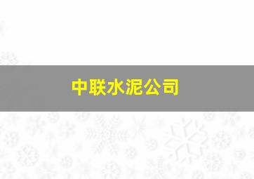 中联水泥公司