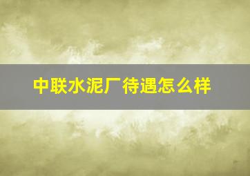 中联水泥厂待遇怎么样