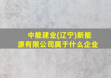 中能建业(辽宁)新能源有限公司属于什么企业