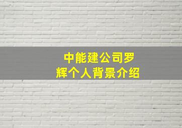 中能建公司罗辉个人背景介绍