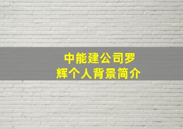 中能建公司罗辉个人背景简介