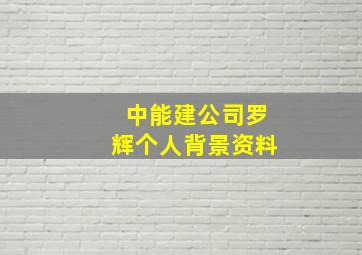 中能建公司罗辉个人背景资料