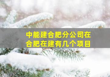 中能建合肥分公司在合肥在建有几个项目