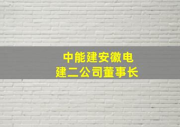 中能建安徽电建二公司董事长