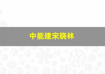 中能建宋晓林