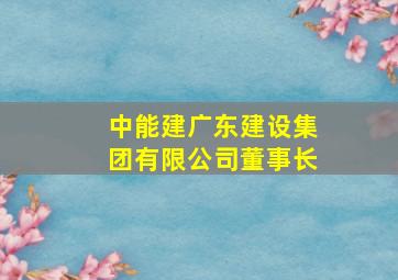 中能建广东建设集团有限公司董事长