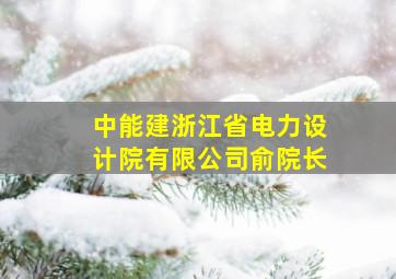 中能建浙江省电力设计院有限公司俞院长