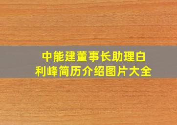 中能建董事长助理白利峰简历介绍图片大全