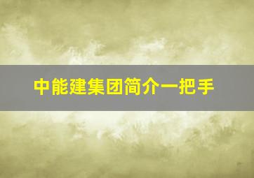 中能建集团简介一把手