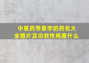 中草药带草字的药名大全图片及功效作用是什么