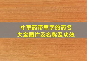 中草药带草字的药名大全图片及名称及功效