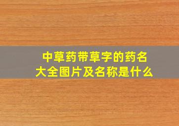 中草药带草字的药名大全图片及名称是什么