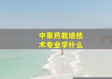 中草药栽培技术专业学什么