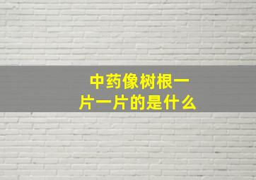 中药像树根一片一片的是什么