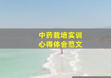 中药栽培实训心得体会范文