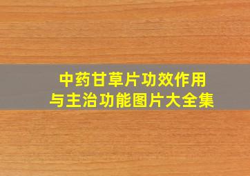 中药甘草片功效作用与主治功能图片大全集