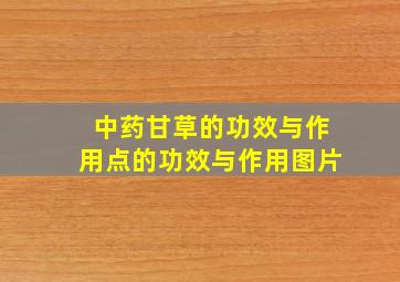 中药甘草的功效与作用点的功效与作用图片