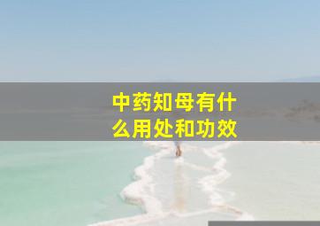 中药知母有什么用处和功效