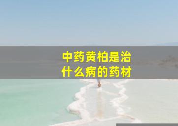 中药黄柏是治什么病的药材