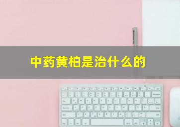 中药黄柏是治什么的