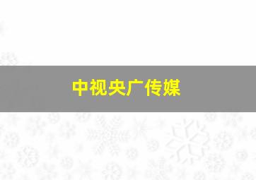 中视央广传媒