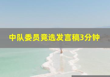 中队委员竞选发言稿3分钟