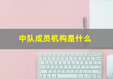 中队成员机构是什么