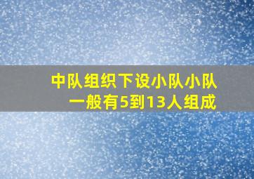 中队组织下设小队小队一般有5到13人组成