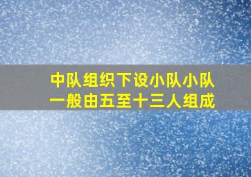 中队组织下设小队小队一般由五至十三人组成