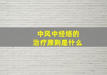 中风中经络的治疗原则是什么