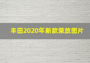 丰田2020年新款荣放图片