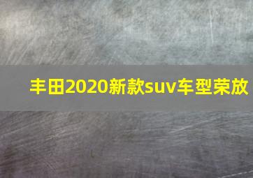 丰田2020新款suv车型荣放