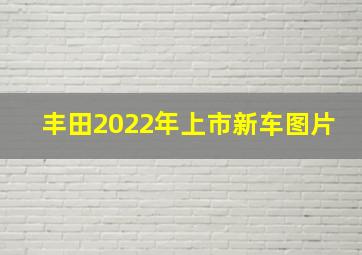 丰田2022年上市新车图片