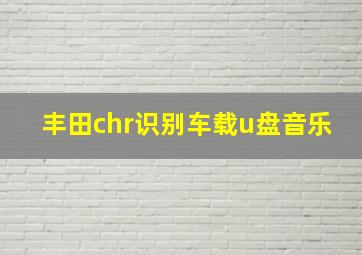 丰田chr识别车载u盘音乐