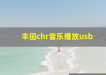 丰田chr音乐播放usb