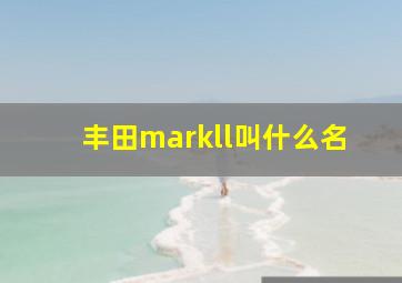 丰田markll叫什么名