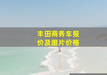 丰田商务车报价及图片价格