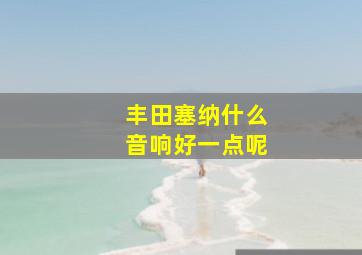 丰田塞纳什么音响好一点呢