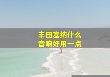 丰田塞纳什么音响好用一点