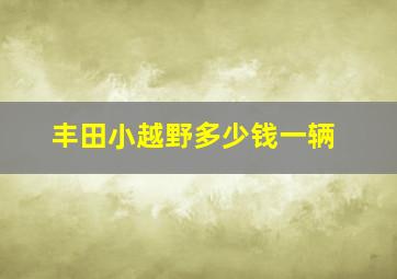 丰田小越野多少钱一辆