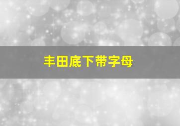 丰田底下带字母