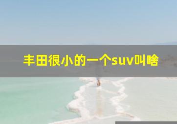 丰田很小的一个suv叫啥