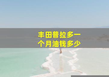 丰田普拉多一个月油钱多少