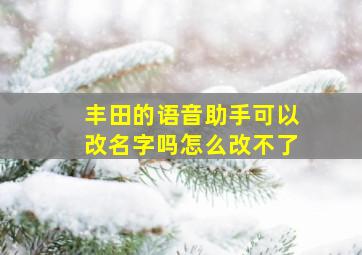 丰田的语音助手可以改名字吗怎么改不了