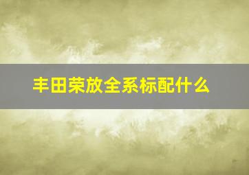 丰田荣放全系标配什么