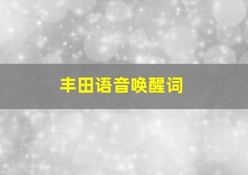 丰田语音唤醒词