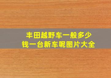 丰田越野车一般多少钱一台新车呢图片大全