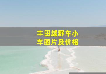 丰田越野车小车图片及价格