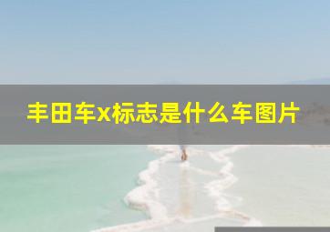 丰田车x标志是什么车图片